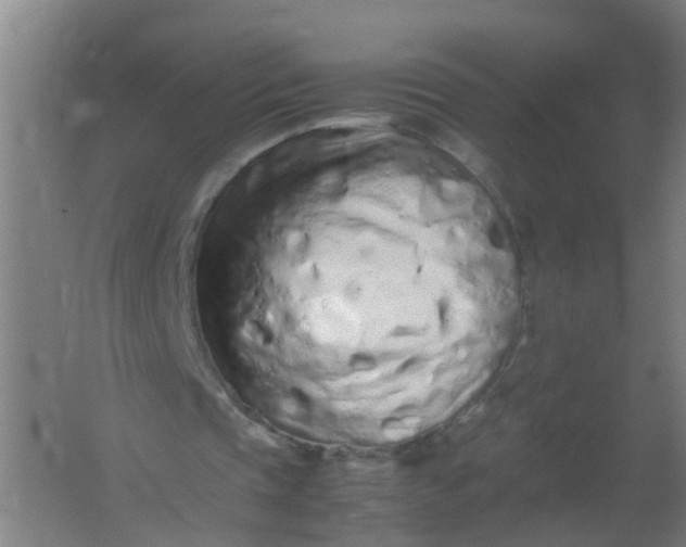 X0000062170337200512231632