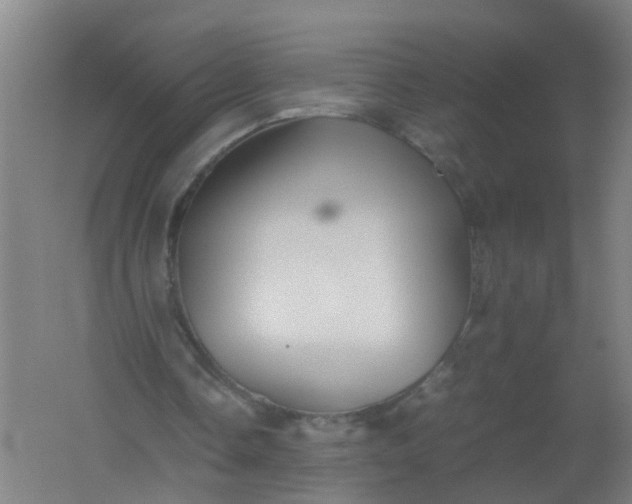 X0000062170338200512231632