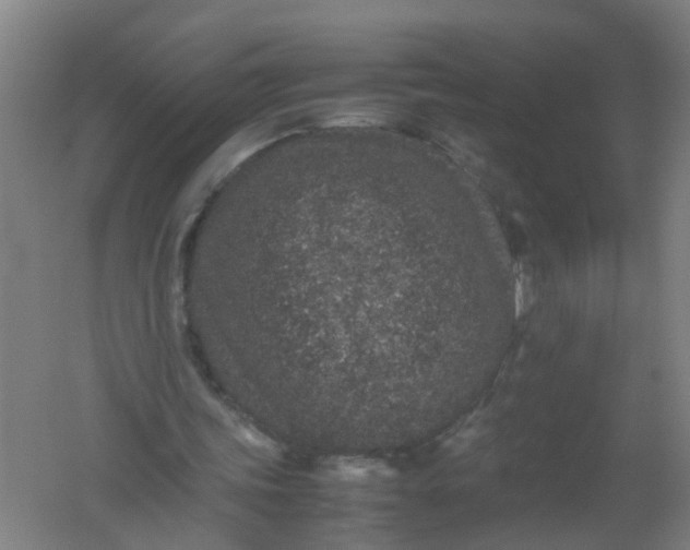 X0000062170339200512231632