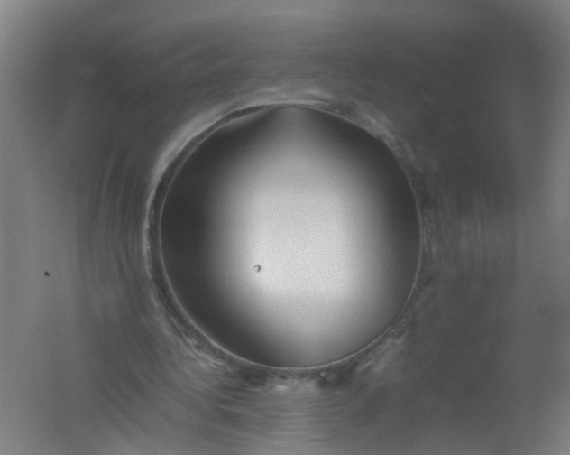 X0000062170340200512231632