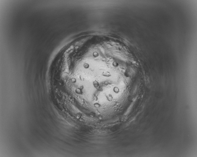 X0000062170343200512231632