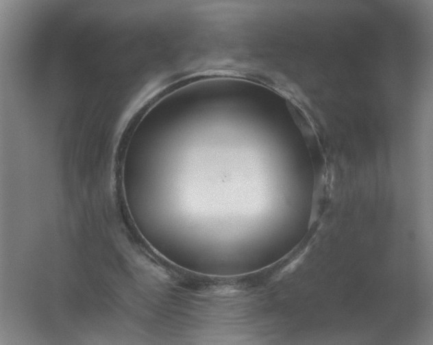 X0000062170344200512231632