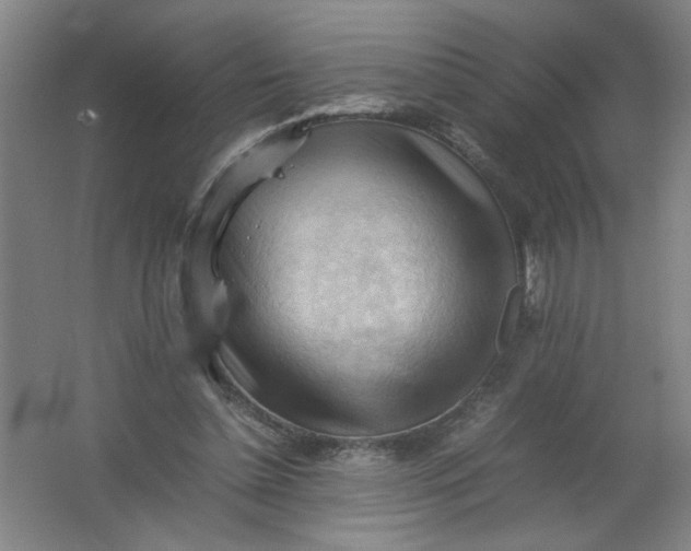 X0000062170348200512231632