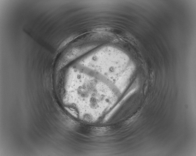 X0000062170349200512231632