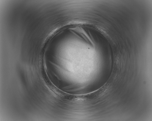 X0000062170352200512231632