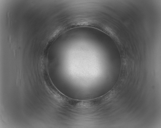 X0000062170354200512231632