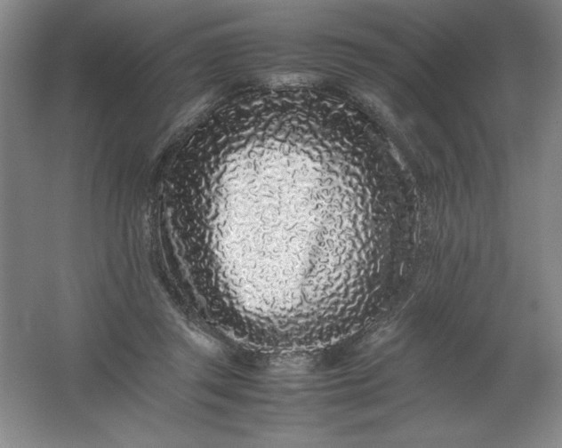 X0000062170357200512231632