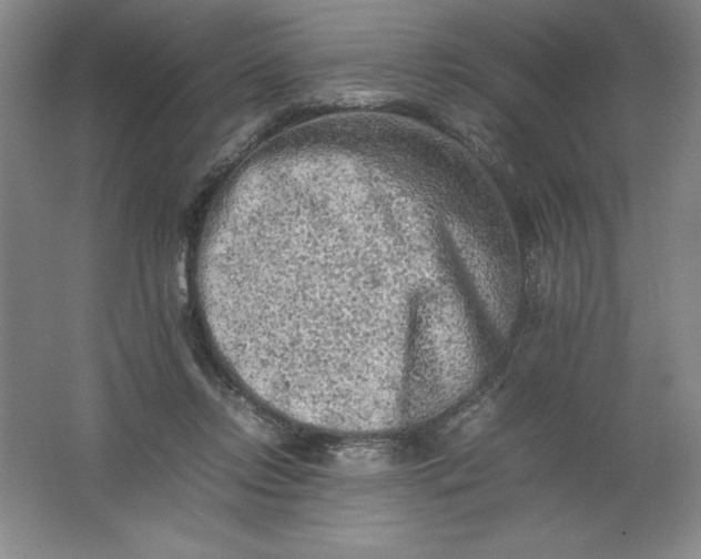 X0000062170358200512231632