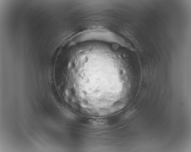 X0000062170359200512231632