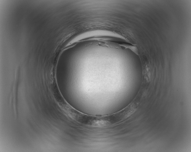 X0000062170360200512231632