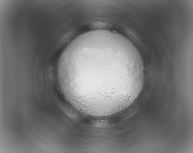 X0000062170361200512231632