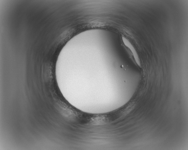 X0000062170362200512231632