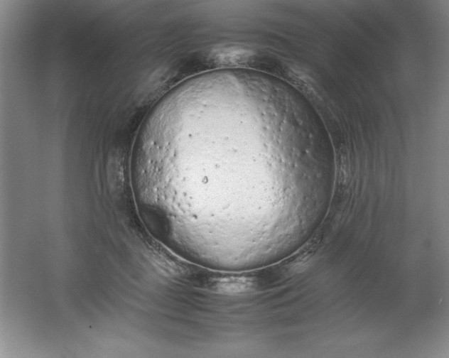 X0000062170363200512231632