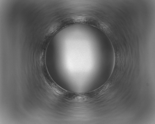 X0000062170364200512231632