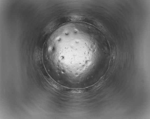 X0000062170367200512231632