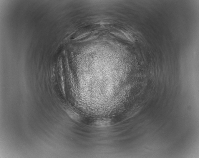 X0000062170369200512231632