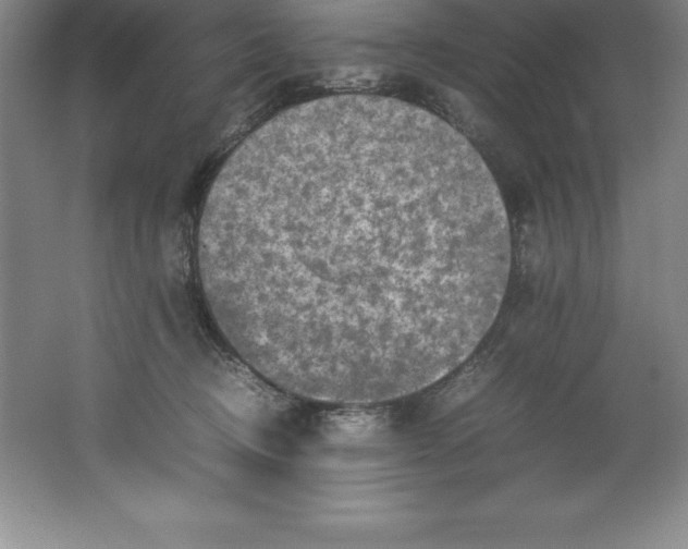 X0000062170370200512231632