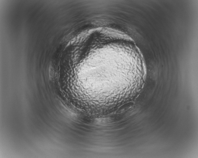 X0000062170371200512231632