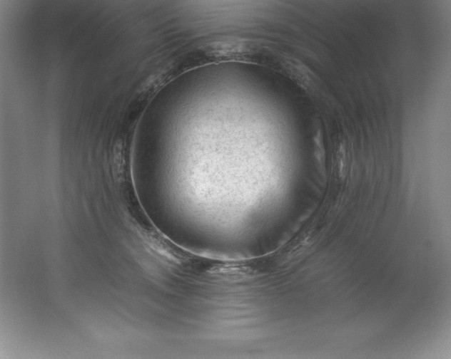 X0000062170372200512231632