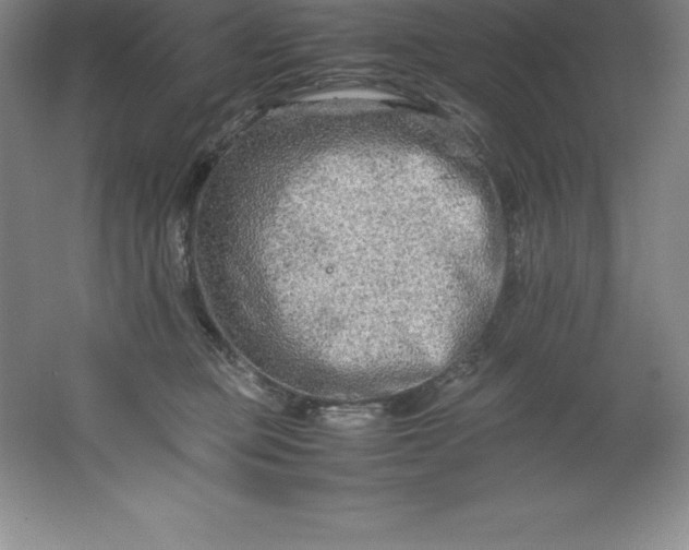 X0000062170373200512231632