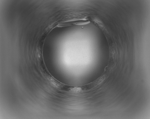 X0000062170374200512231632