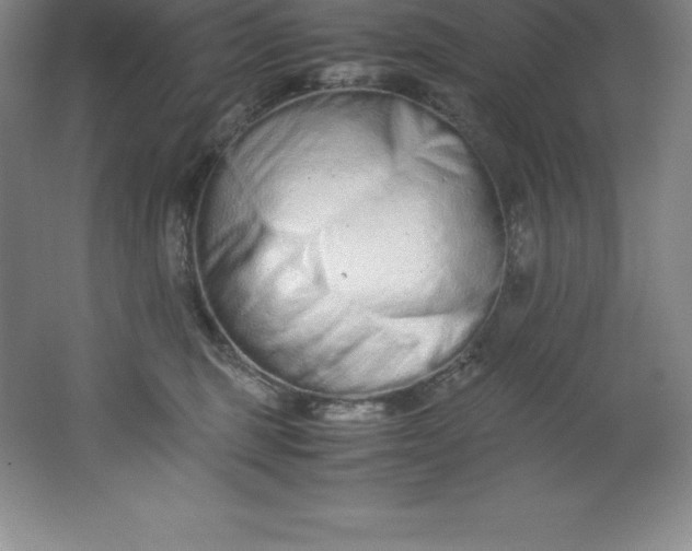 X0000062170375200512231633