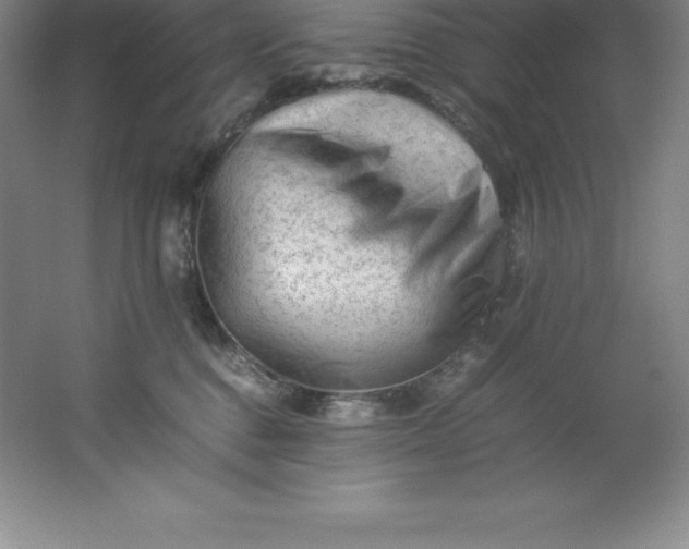 X0000062170376200512231633