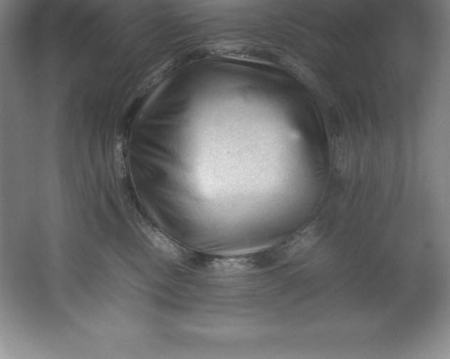 X0000062170378200512231633