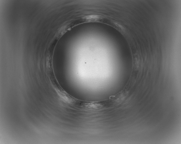 X0000062170379200512231633