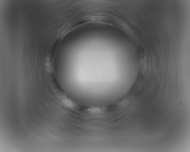 X0000062170381200512231633