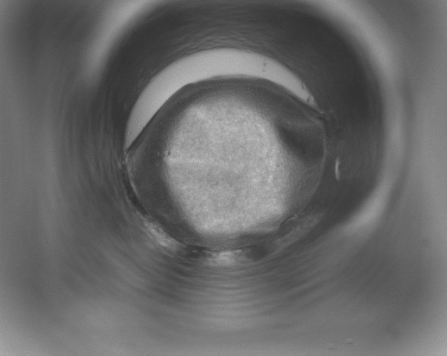 X0000062170382200512231633