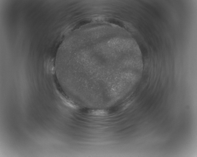 X0000062170383200512231633