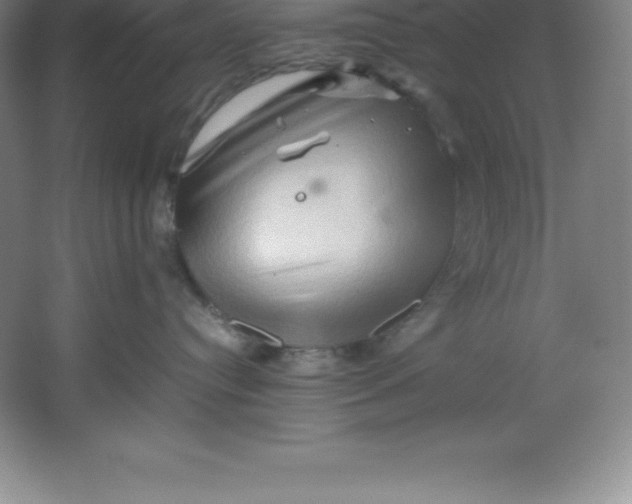 X0000062170384200512231633