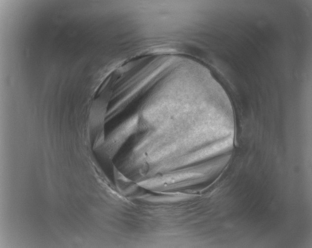 X0000062170385200512231632