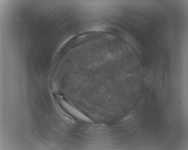 X0000062170386200512231632