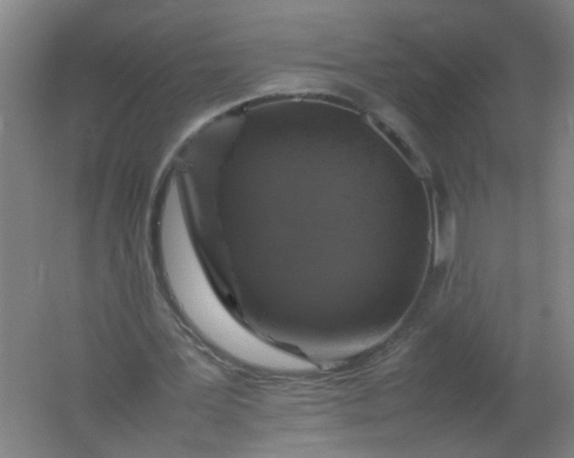 X0000062170387200512231632