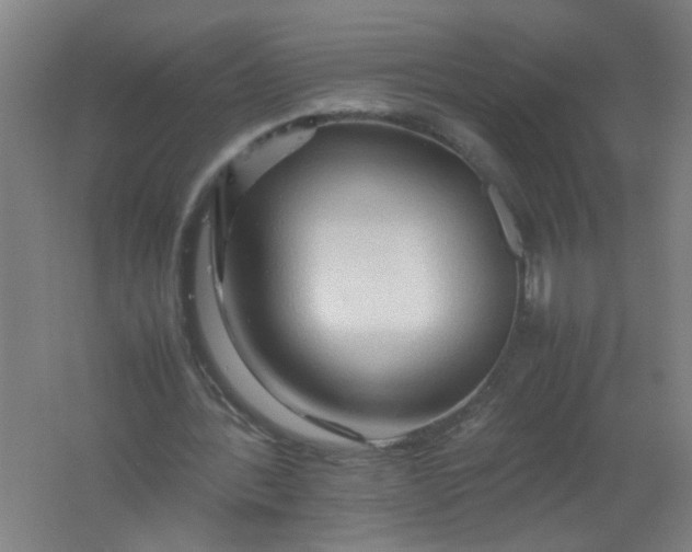 X0000062170388200512231632