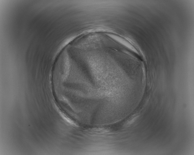 X0000062170389200512231632