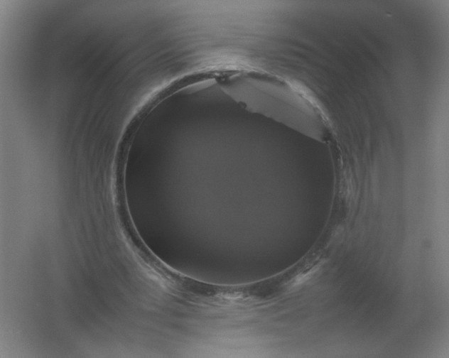 X0000062170391200512231632