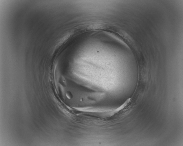 X0000062170393200512231632