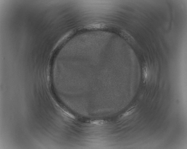 X0000062170396200512231632