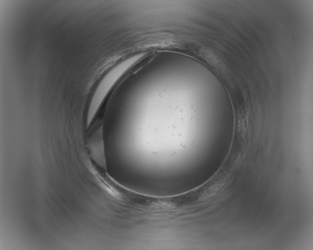 X0000062170397200512231632