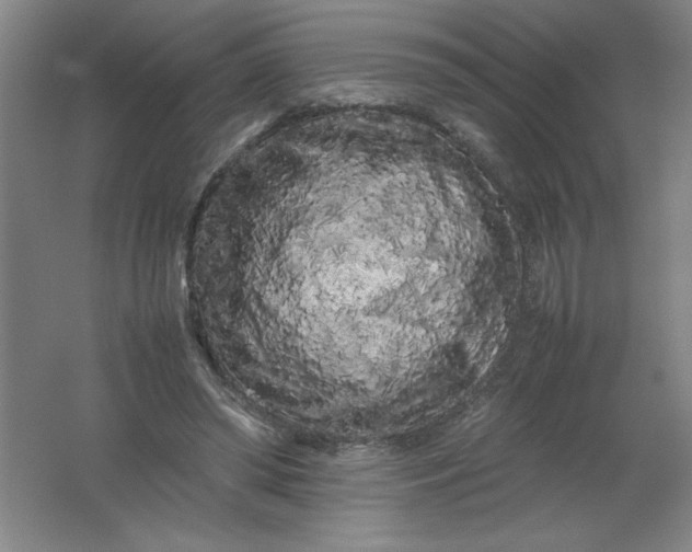 X0000062170398200512231632