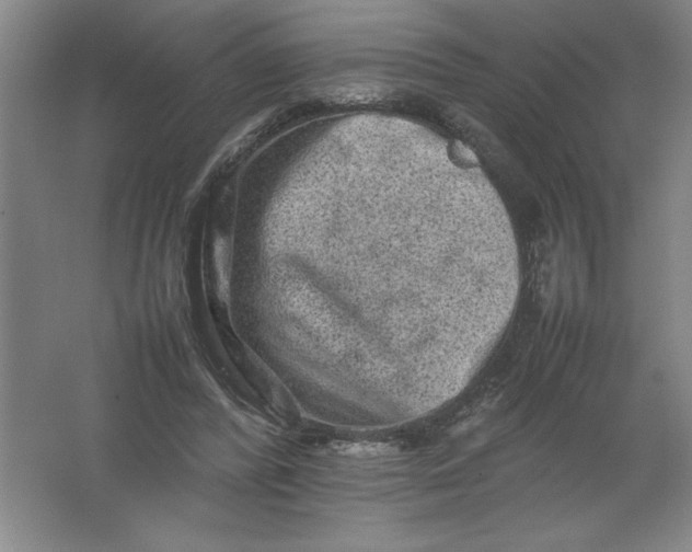 X0000062170400200512231632