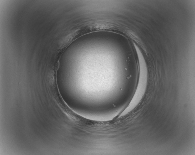 X0000062170401200512231632