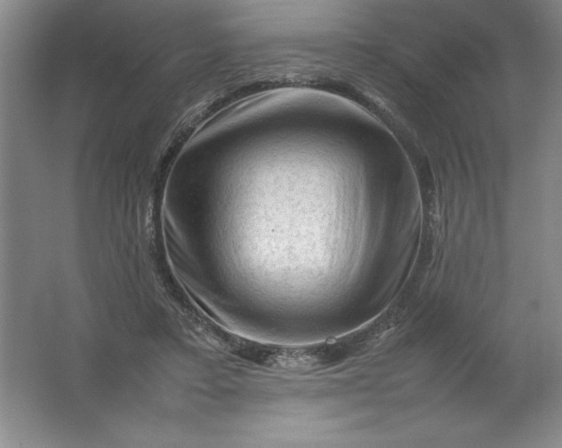 X0000062170403200512231632