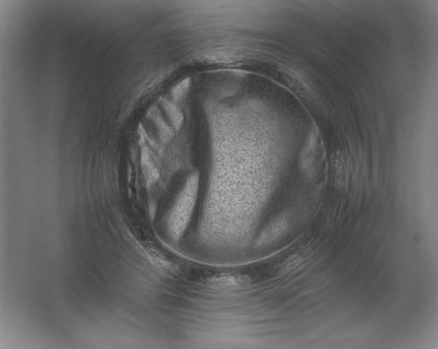 X0000062170404200512231632