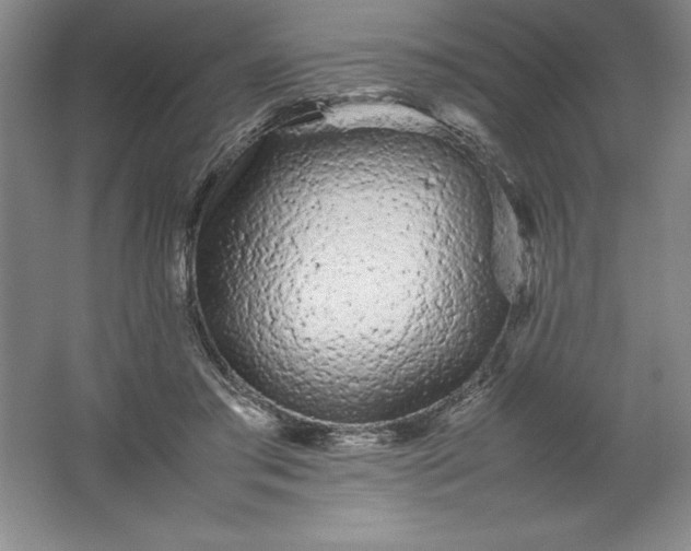 X0000062170405200512231631