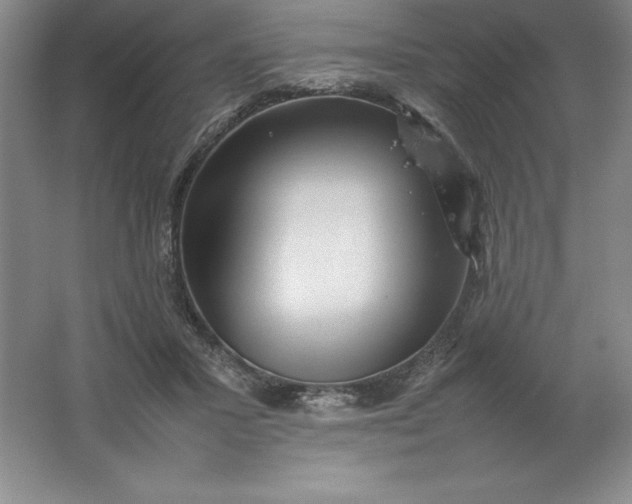 X0000062170407200512231631