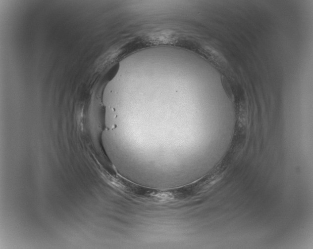 X0000062170409200512231631